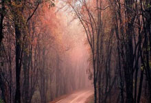 股票的选择技巧:股票的论坛-习近平：中方愿同各方共同建设好人工智能应用合作中心